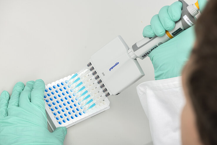 Close-up of multichannel pipette pipetting into microtiter plate in laboratory.